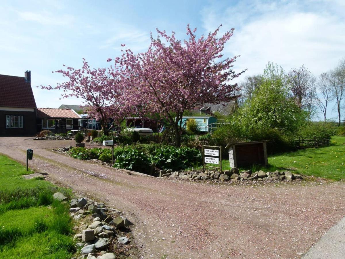 Bed and Breakfast Betty'S Tiny House Wieringerwerf Exterior foto