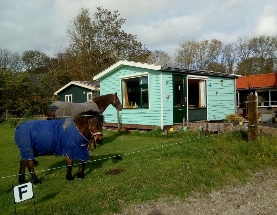 Bed and Breakfast Betty'S Tiny House Wieringerwerf Exterior foto